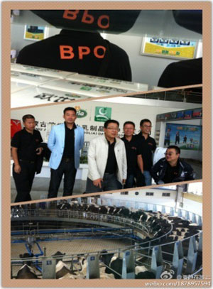 线上线下整合式人力资源外包服务，助力食品/乳品企业打造核心竞争力